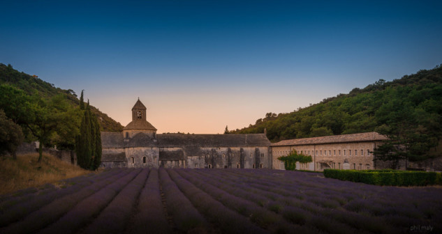 The beautiful Abbaye de Notre-Dame de Sénanque at sunrise with a lavender field in front